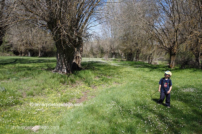 Un niño recorre la hoces del río Pirón cerca de Turégano. Segovia. Castilla y León. España.