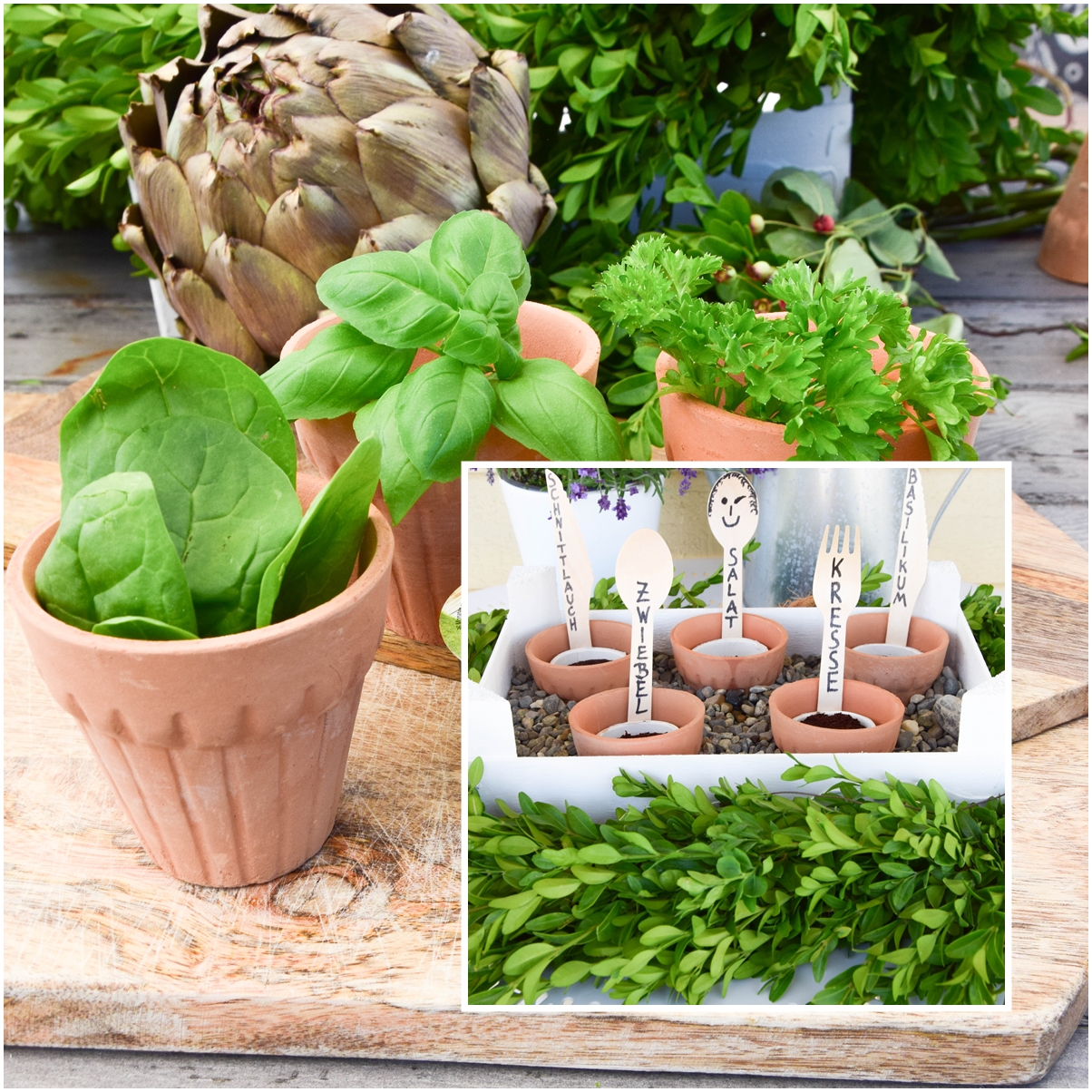 So pflanzt ihr euren eigenen kleinen BioGarten auf dem Balkon