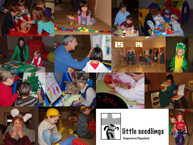 Little Seedlings Cooperative Playschool