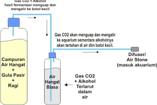 Cara Membuat CO2 DIY Cisod Untuk Aquascape Sendiri  Biaya Murah