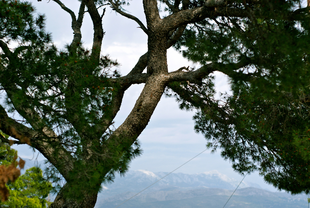 BLOG MODE HOMME PREPPY DANDY CONSEIL STYLE PARIS ELEGANCE TENDANCE JEUNE BLOG MODE HOMME PREPPY DANDY CONSEIL STYLE PARIS ELEGANCE TENDANCE JEUNE