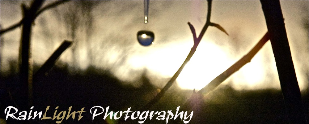 RainLight Photography