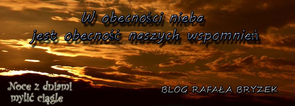 Blog Rafała Bryzek