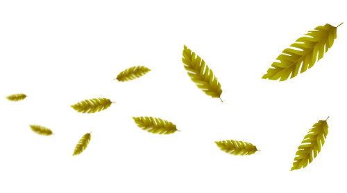 10 Gambar Daun Vektor PNG Gratis Untuk Desain Vektor Anda - Jalan Kucing