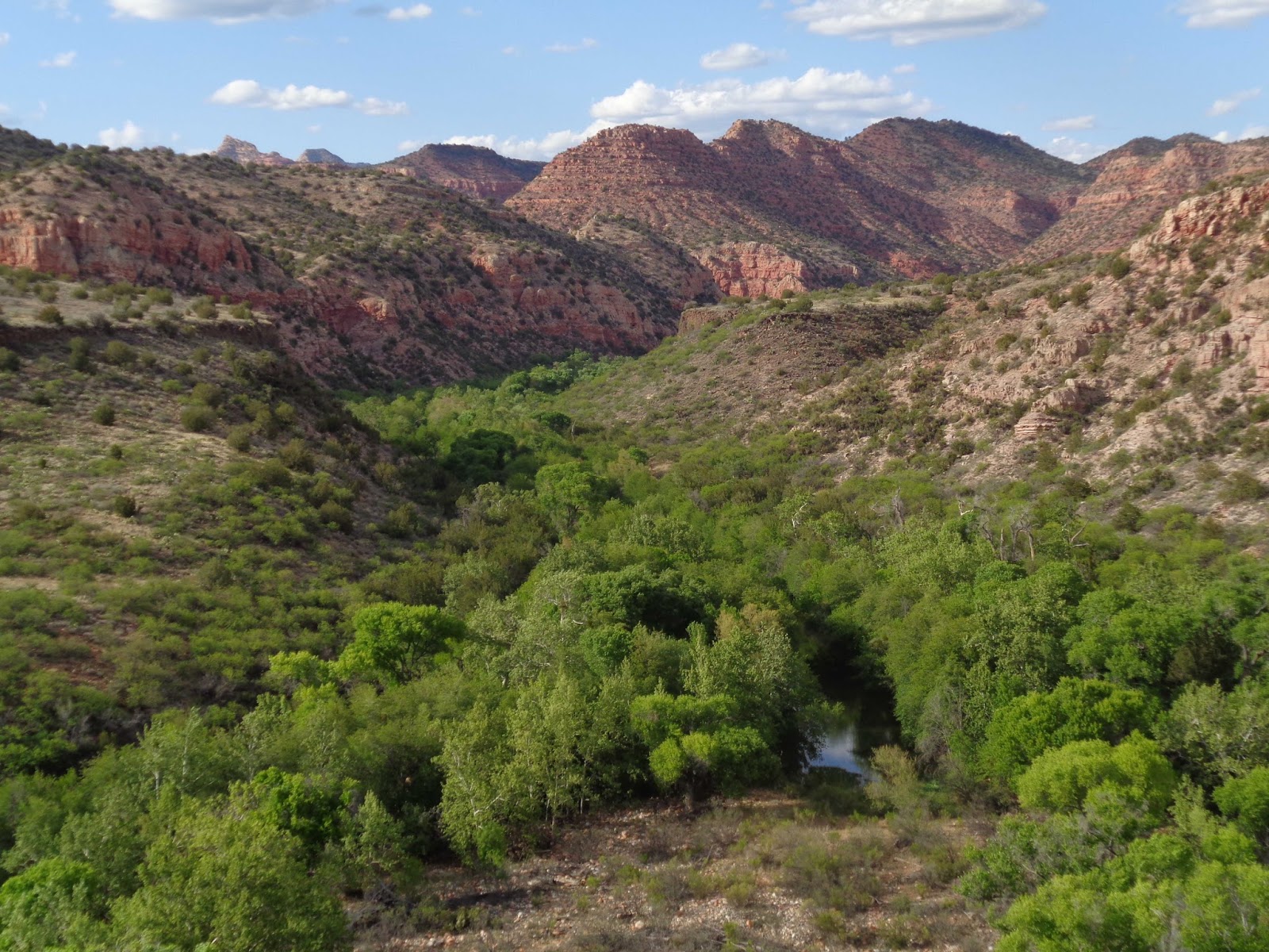 Wahnfried der Nomad Sycamore Canyon, Cottonwood, Arizona