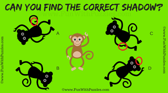 Answer of Shadow Picture Riddle for Kids
