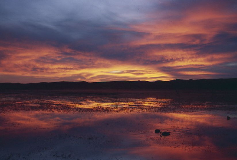 One Day in America Sunrise, Sunset at Bosque del Apache National