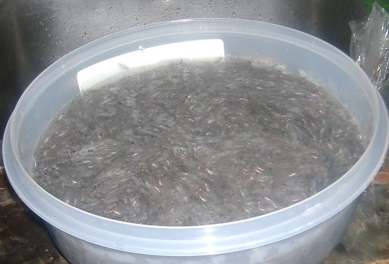 St. Vincent and the Grenadines Flavours TriTri Cakes