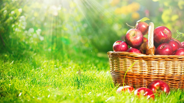 Benefits of Eating Apples before Sleep Benefits of Eating Apples before Sleep