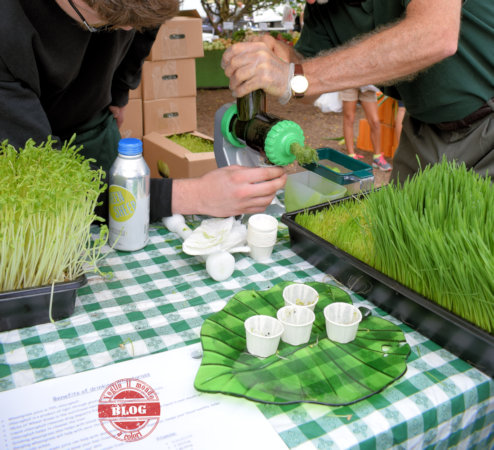 Succo Dell'erba Del Grano Fotografia Stock. Immagine Di Clorofilla