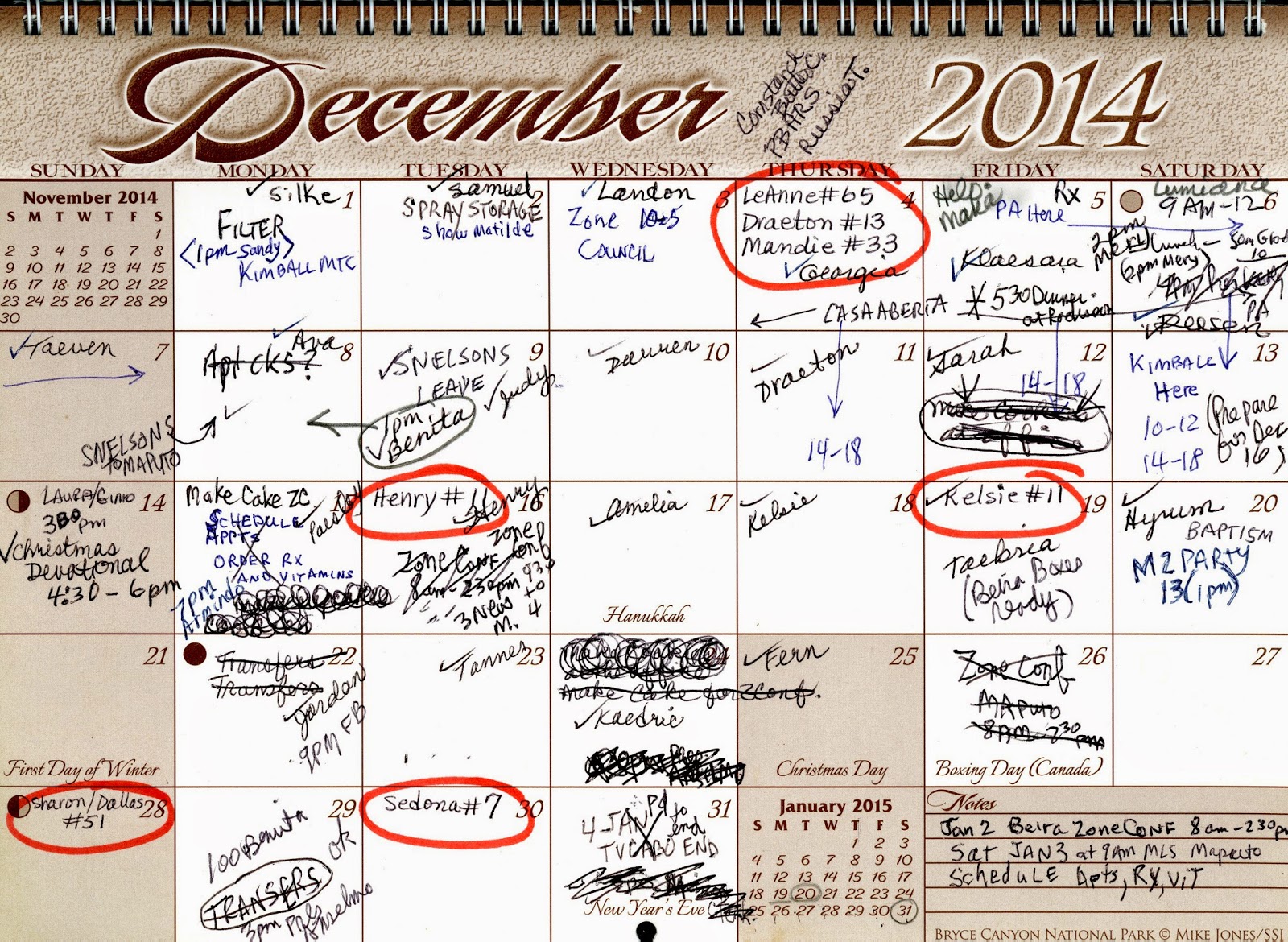 Tidwell's in Africa February 2015