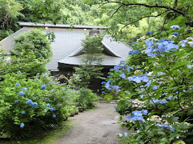 箱根のあじさい寺
