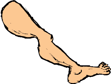 leg01.gif