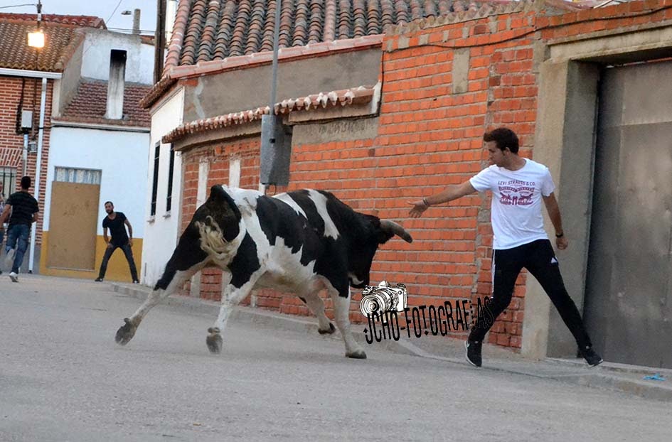 JuanchoFOTOGRAFIAS LOMOVIEJO 2017