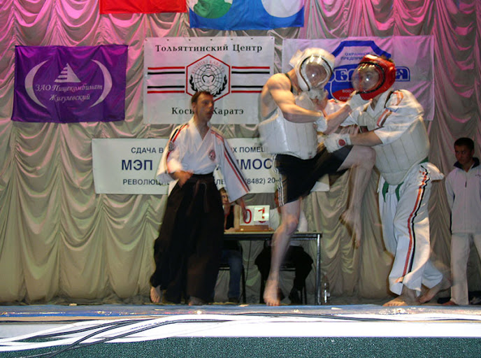 Показательные выступления по смешанным единоборствам