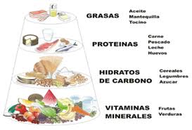 VIDEO .  REQUERIMIENTO NUTICIONAL