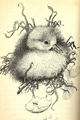 ilustración retro pájaros