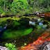 Wow! Cano Cristales, Colombia River 5 Colours, Unique and Strange