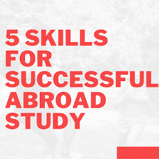 skills successful abroad life