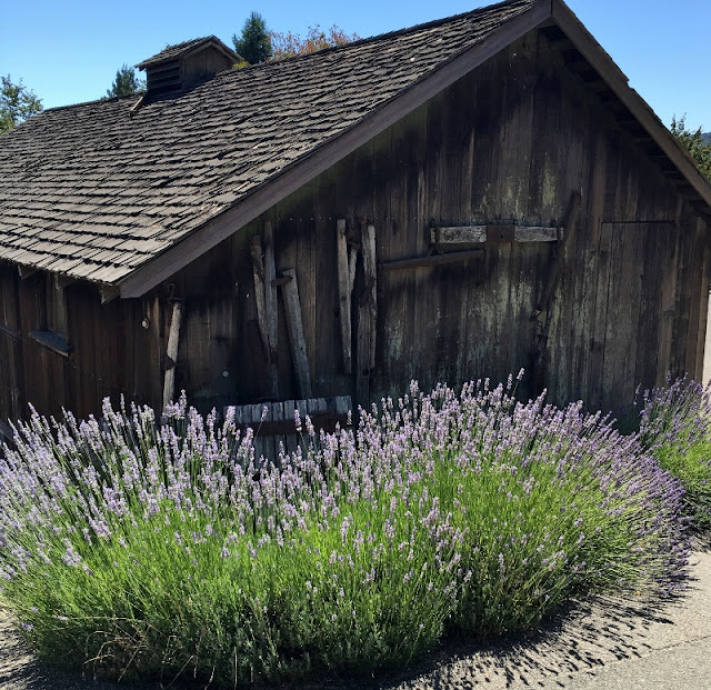 ...a quiet life... book club field trip