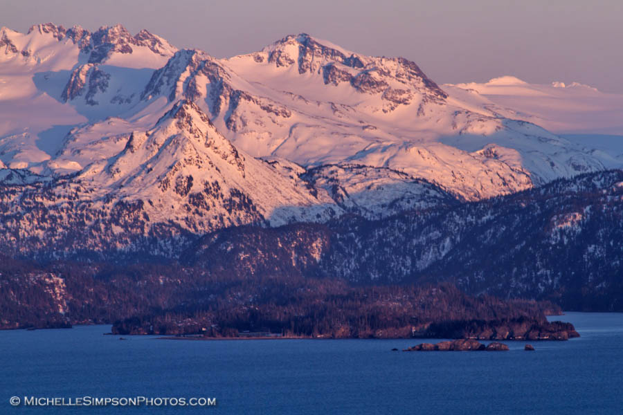 Michelle Simpson Photos Watch of the Panda