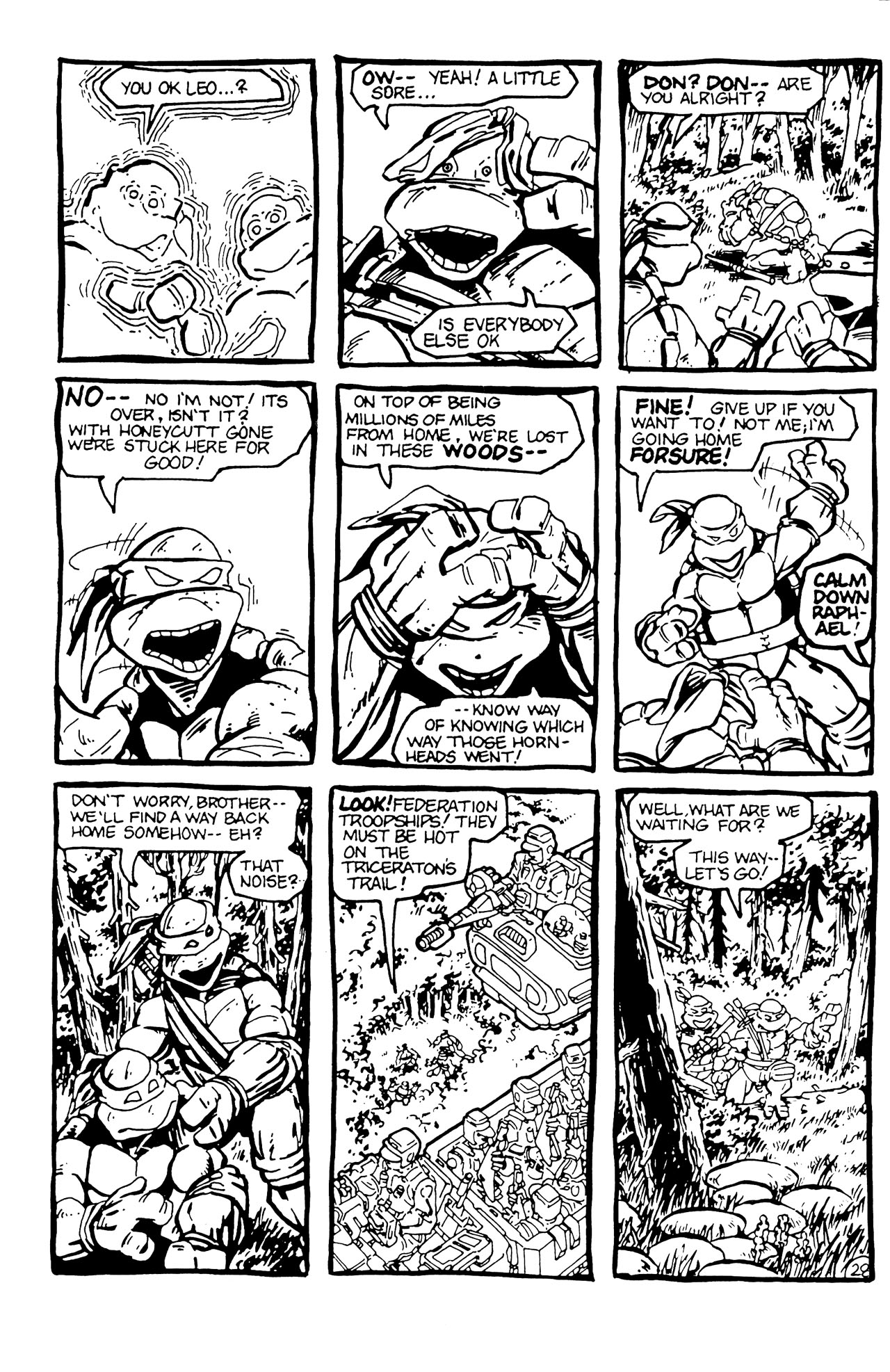 Teenage Mutant Ninja Turtles (1984) Issue #5 #5 - English 30