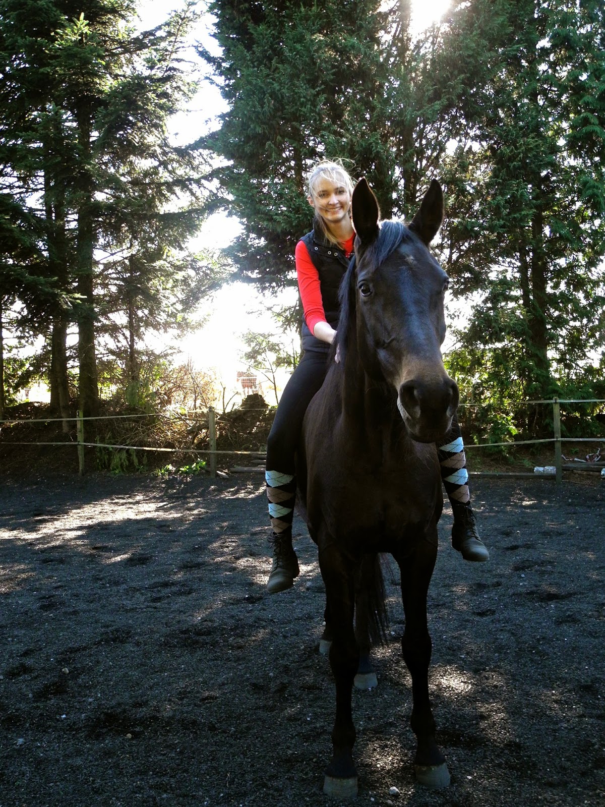 Reiten mit “feinen Hilfen”