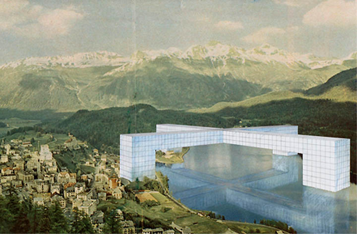 cabbage moths lay their eggs on my kale