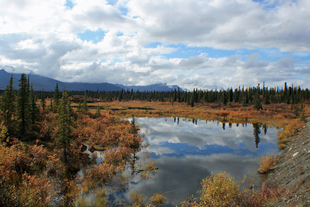 DENALI HIGHWAY - LA ULTIMA FRONTERA. CRONICAS DE ALASKA (3)