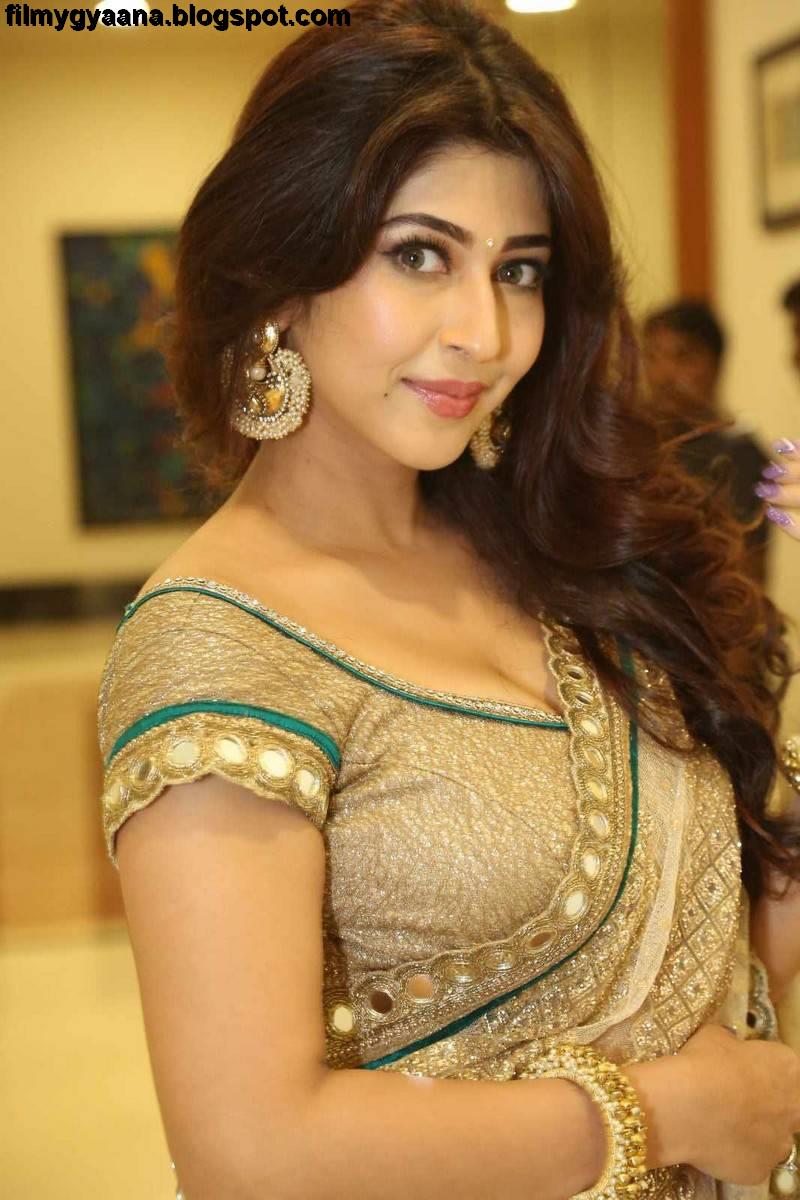 Sonarika Bharodia Xxx Video - Mahadev Actress Sonarika Bhadoria Hot Saree Photos - Bollyimage - Download  Bollywood Wallpapers