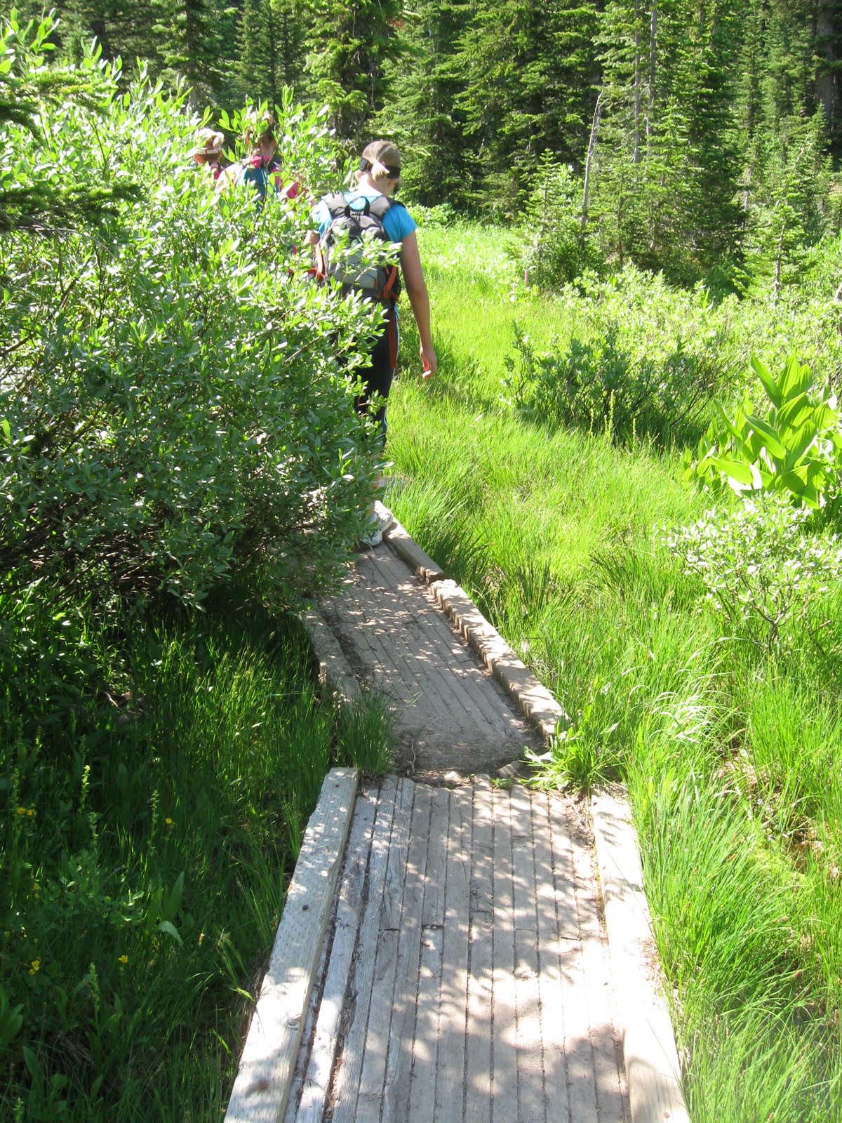 From the Shadow of the Tetons Hiking in the Tetons Table Mountain