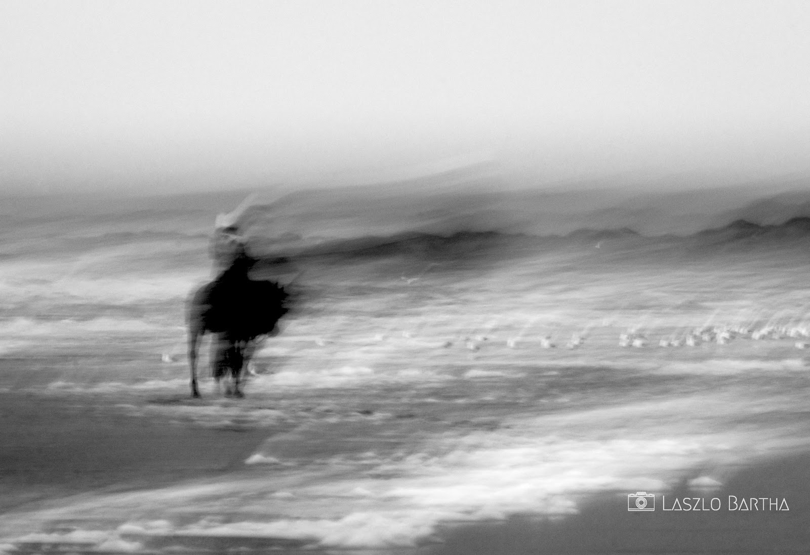 In the Company of Plants and Rocks Where does the dust come from?