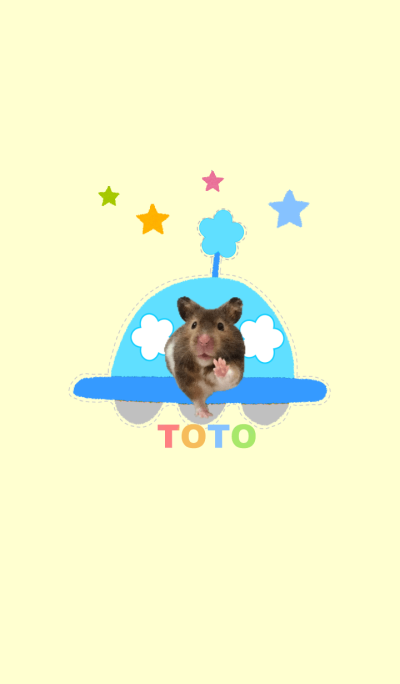 Hamster TOTO