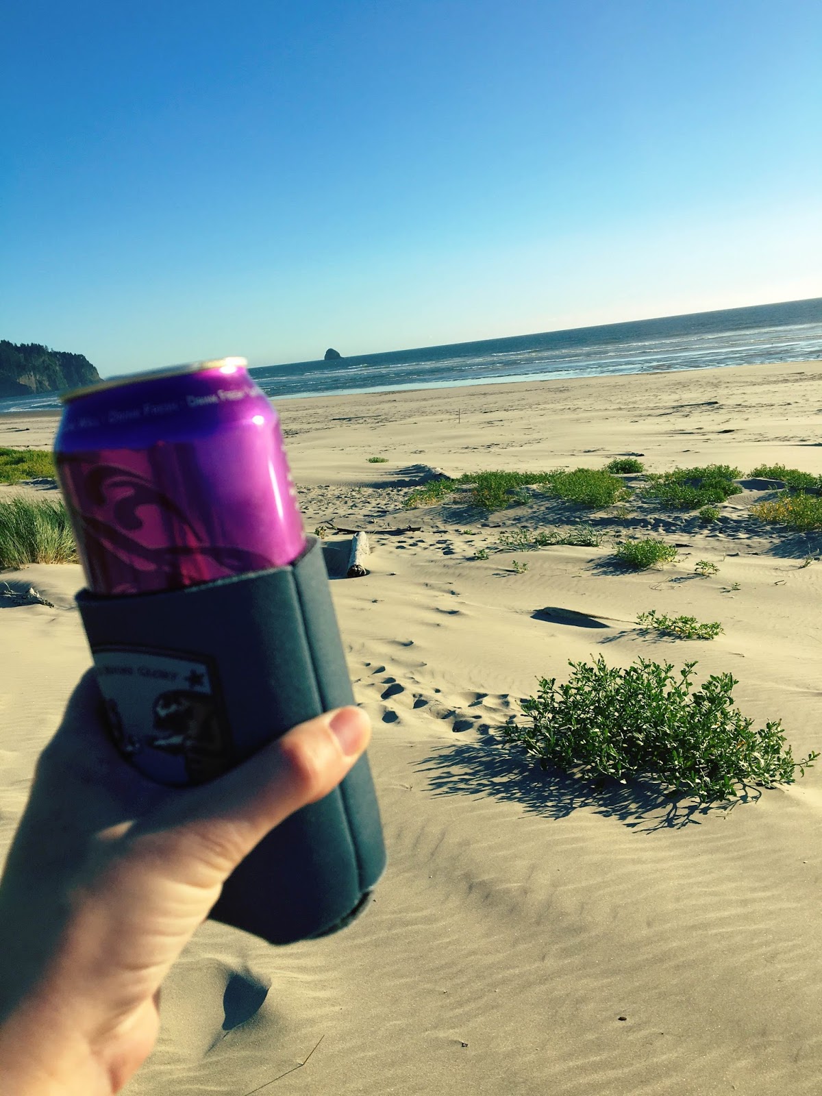 A Hoppy Medium Beer Friday Haze by Tree House Brewing Co.