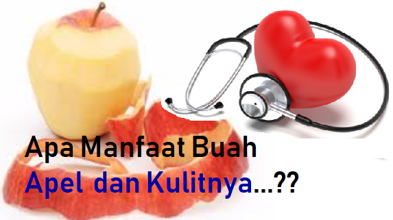 Manfaat Buah Apel dan Kulinya Manfaat Buah Apel dan Kulinya