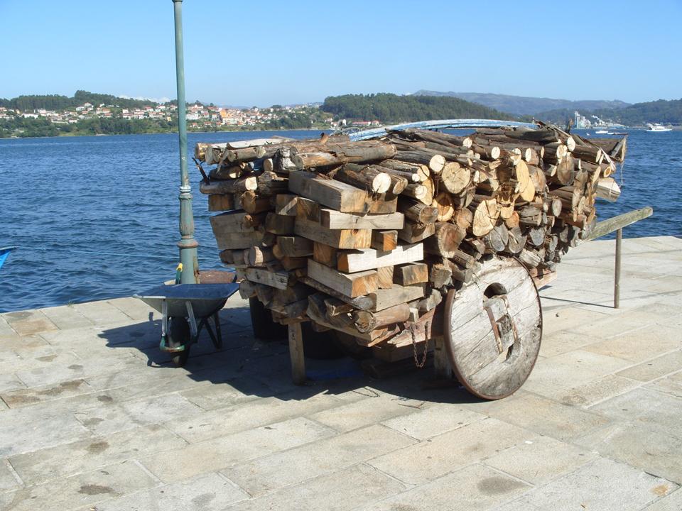 LA LECHUZA LITERARIA: LA LIMPIEZA Y EL ORDEN