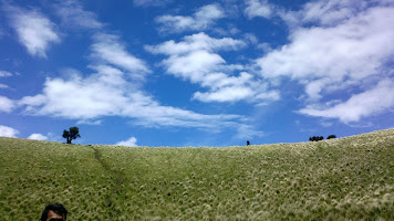 Mengatur gambar (resize/crop) yang diunggah melalui blogger