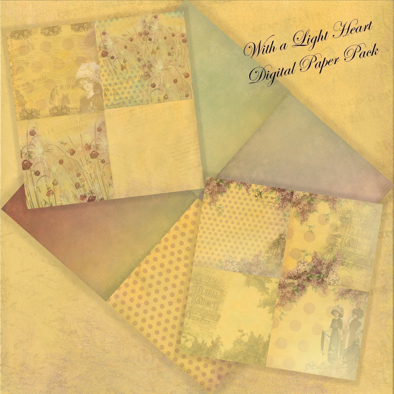 Background White Gallery Photo Background Paper