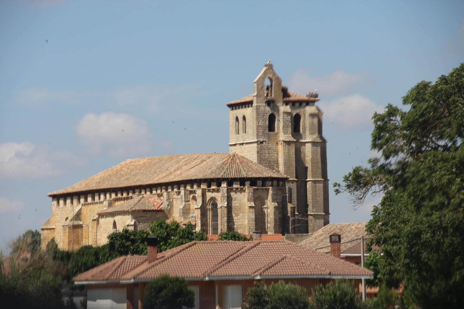 Historia y Genealogía Ribas de Campos, Calahorra de Ribas y San