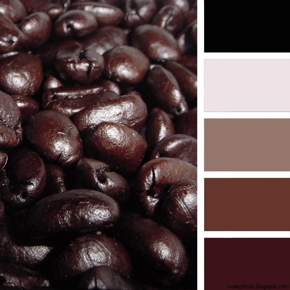 Цвет шоколада сочетание. Палитра коричневых оттенков. Коричневая гамма цветов. Цветовая палитра кофейный. Коричневые тона.