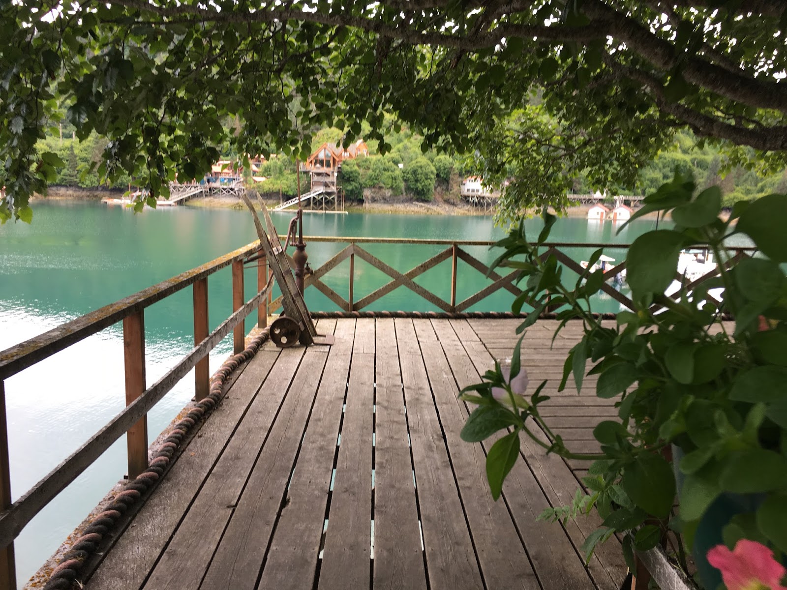 Life in Alaska — A View From Homer The Saltry and Danny JA Halibut