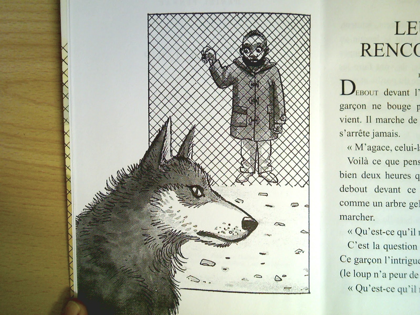 Les nouvelles de l'école de Sagelat L'avis de Maud sur L'oeil du loup Les nouvelles de l'école de Sagelat L'avis de Maud sur L'oeil du loup