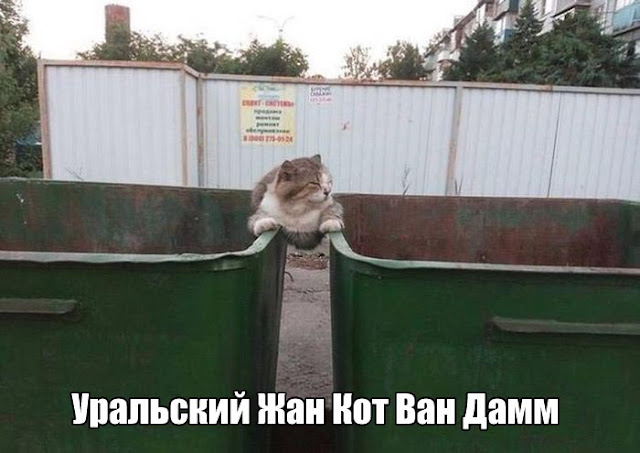 Уральский Жан Кот Ван Дамм