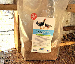 coop extend chicken easy way bedding ammonia smell
