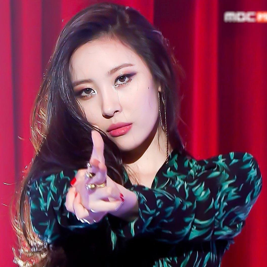 sunmi risabae pannatic sunmi risabae pannatic