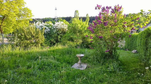 Barocke Gartentage 2019 Barocke Gartentage