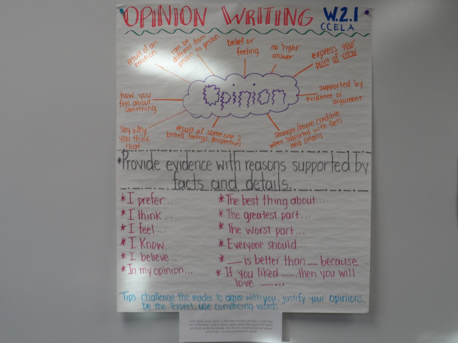 Confessions of a Primary Teacher: Opinion Writing