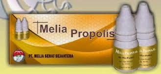 khasiat melia propolis untuk diabetes