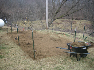 removing sod for a vegetable garden in Michigan