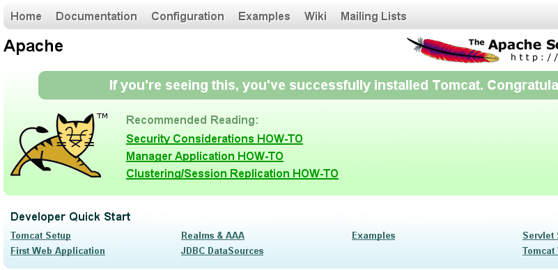 Asegurando Tomcat Banner Grabbing Para Psi Probe